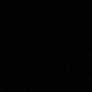 Meet your Posher, Dylan